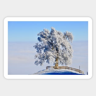 Winter Tree Landscape / Swiss Artwork Photography Sticker